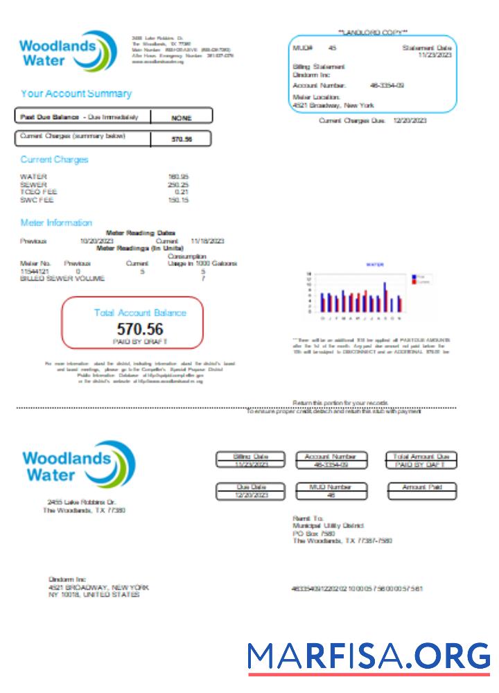 Blank Woodlands Water utility business bill, SCR sample